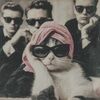 fiona_cat